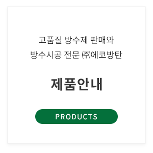 메인-배너-0