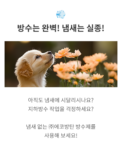메인-배너-0